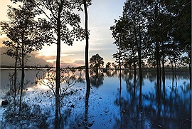 Chơi vơi Ea Kao - Hồ nước ngọt xanh biếc một màu giữa đại ngàn Tây Nguyên hùng vỹ