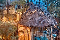 "Sống ảo" cực mạnh ở Resort tổ chim độc đáo view rừng thông giữa thị trấn Tam Đảo 