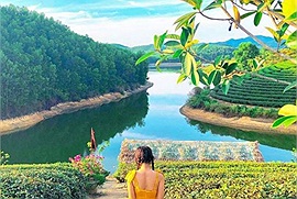 Nghệ An đi đâu: Một "ốc đảo" chè giữa đập nước đẹp lụi tim ở Nghệ An mà không phải ai cũng biết