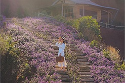 Đà Lạt đi đâu: Những bậc thang phủ đầy hoa có thể xô đổ bất cứ trái tim nào ở vườn hoa Túi thương nhớ
