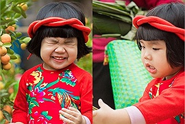 Đi chợ Tết chụp ảnh mà nhí nhố như cô bé "Thái Bình quê em" này thì cả năm cười phớ lớ