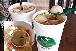 Khách hàng tố đồ uống của Phúc Long Saigon Centre có "con bọ" bên trong, nhân viên thái độ lồi lõm không xin lỗi