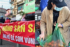 Tổng hợp chi tiết địa chỉ "giải cứu" rau củ Hải Dương ở Hà Nội