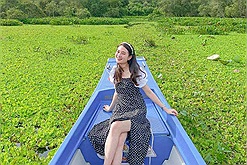 Tuổi trẻ phải đi cho bằng hết 4 khu rừng "mỗi nơi một vẻ" đẹp xuất sắc ở Việt Nam này