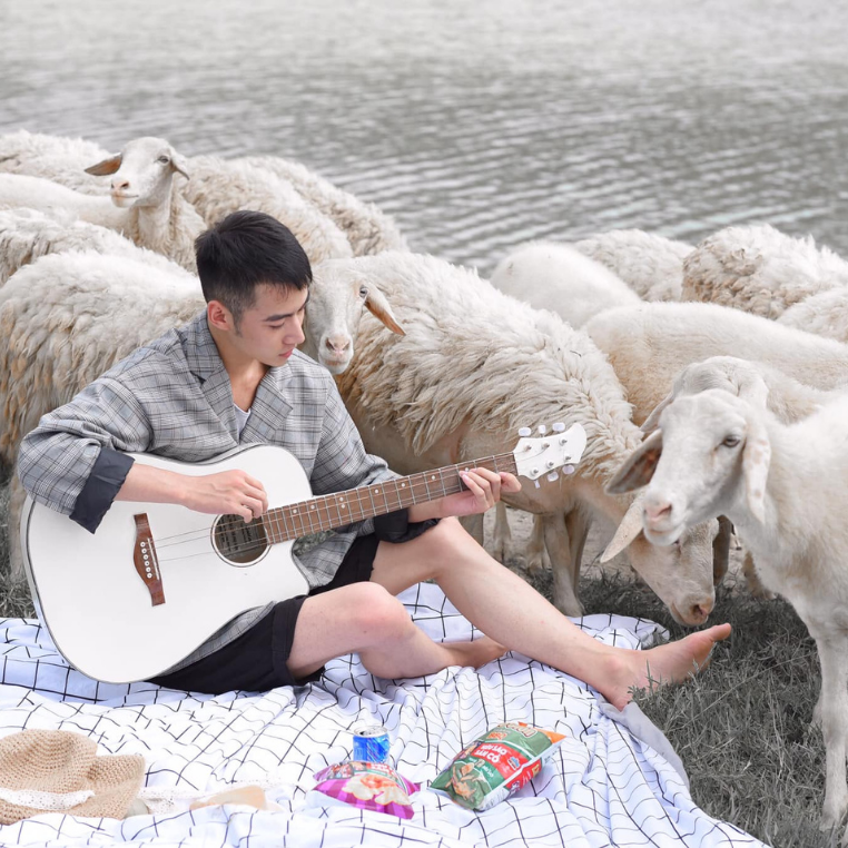 3 đồng cừu trắng muốt đẹp tựa Châu Âu cho hội "sống ảo" tha hồ "nháy máy"