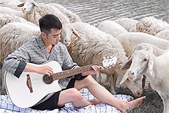 3 đồng cừu trắng muốt đẹp tựa Châu Âu cho hội "sống ảo" tha hồ "nháy máy"