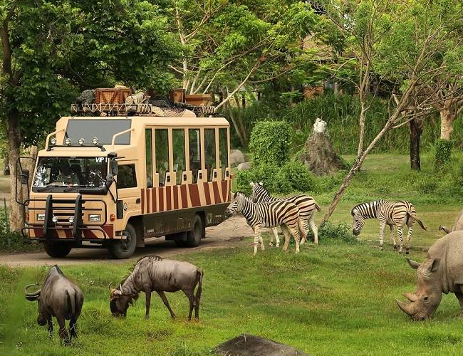 Vinpearl Safari phú quốc