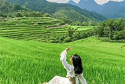 Nghe nói Pù Luông đang vào mùa lúa xanh mướt đẹp nhất năm, 2N1Đ khám phá "thiên đường giữa đại ngàn" thôi nào! 