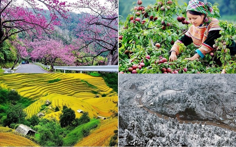 Thời điểm du lịch Sapa