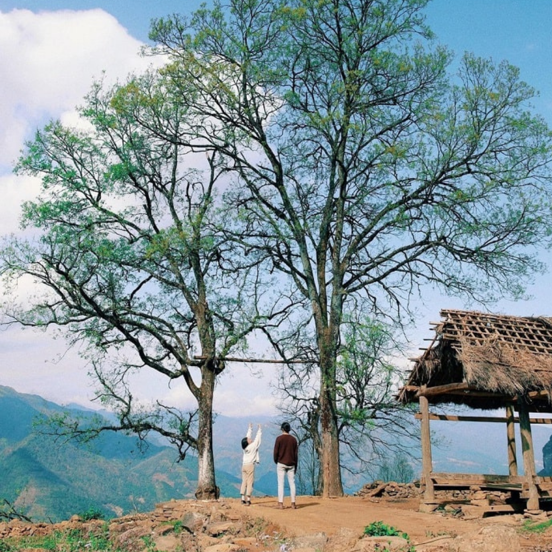 Tạp chí Forbes "xướng tên" Lào Cai trong top 5 kỳ quan thiên nhiên của Đông Nam Á 