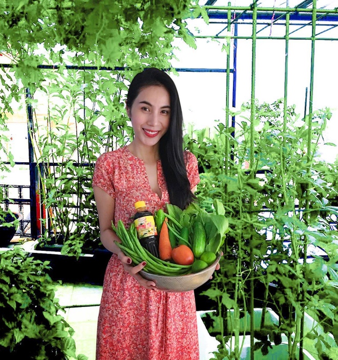 Có rất nhiều vlog được Thủy Tiên chia sẻ về quá trình thu hoạch rau củ tại khu vườn này, càng nhìn các thấy mê ấy. 