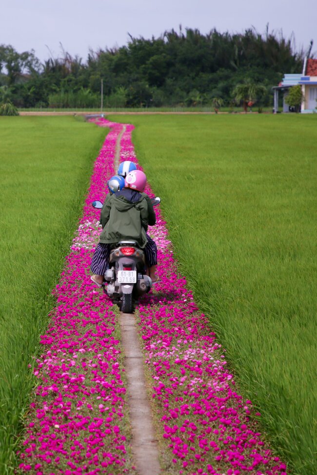Hành trình cùng đi hơn 100 điểm du lịch Việt Nam của đôi bạn thân 7 năm 