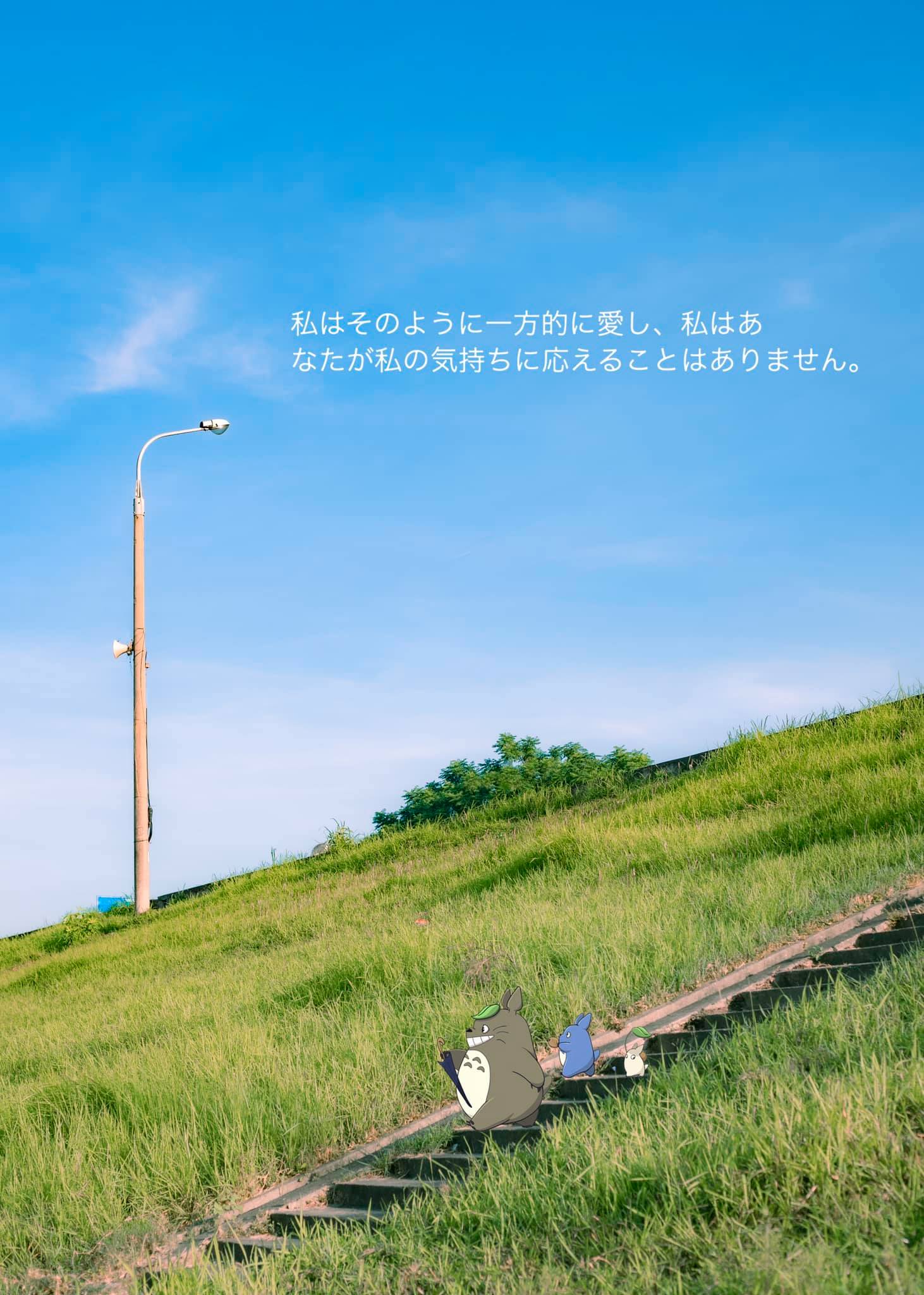 triền cỏ xanh như phim anime Nhật Bản ở gần Hà Nội