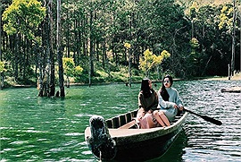 Chơi gì ở Đà Lạt: Top các hoạt động trải nghiệm không thể bỏ qua khi đến với Thành phố ngàn hoa