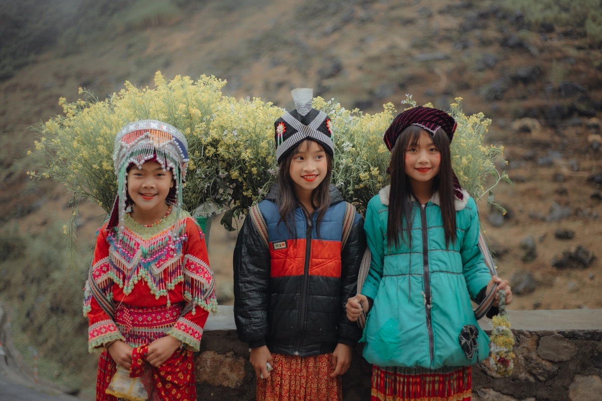 photo 9X mộng mơ đi khắp Việt Nam săn các mùa hoa