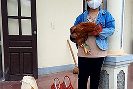 Xúc động hình ảnh bé gái tiểu học ôm gà đi ủng hộ chống dịch Covid-19
