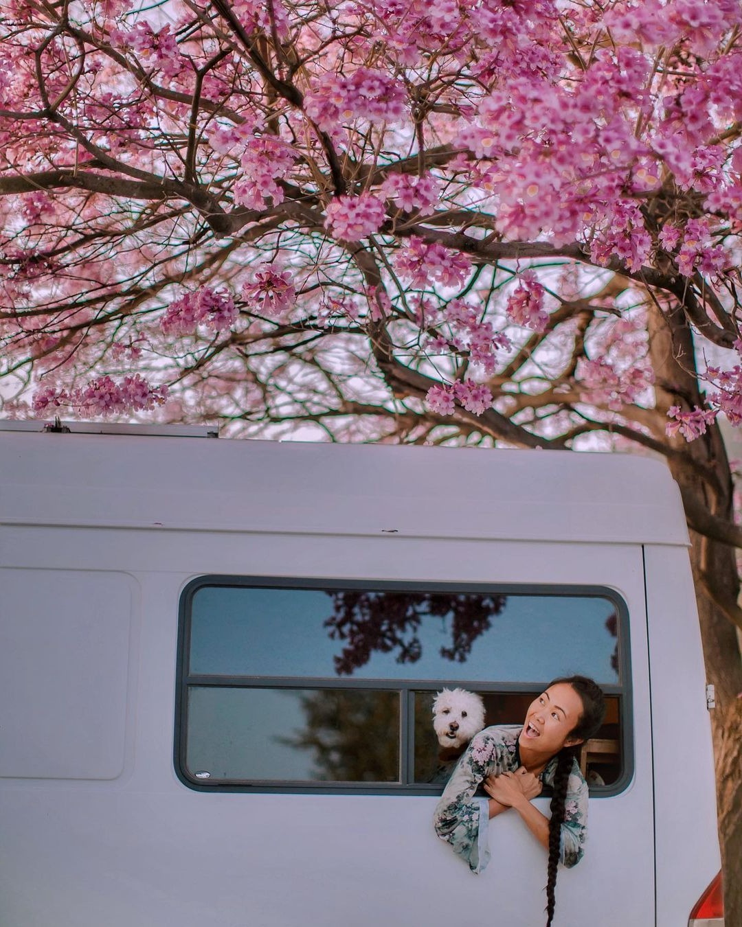 Cặp vợ chồng Việt và hành trình đi khắp xứ Cờ hoa bằng "ngôi nhà di động"