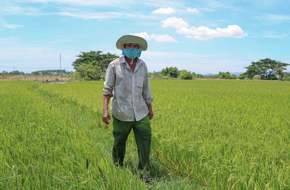 Cả làng bị cách ly, người đàn ông duy nhất chăm sóc 240 ha lúa