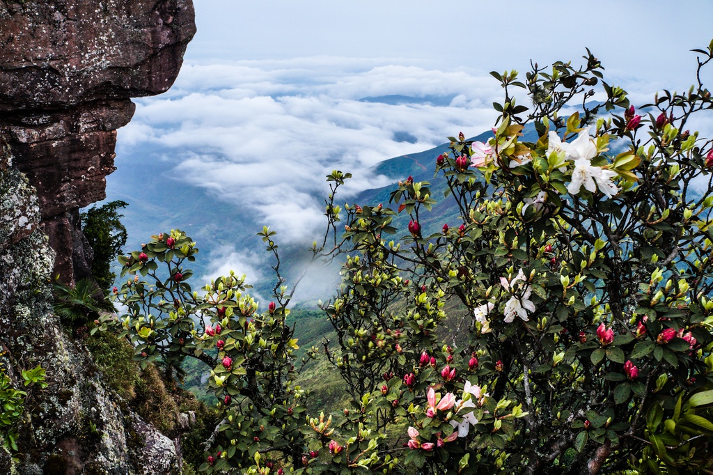Kinh nghiệm đi Trekking đỉnh Pha Luông – khám phá nóc nhà của cao nguyên Mộc Châu
