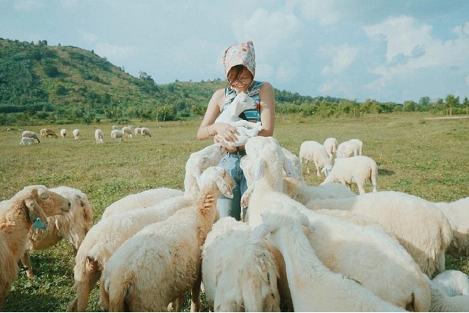 Đồng cừu Suối Nghệ - địa điểm chụp hình cực hot tại Vũng Tàu