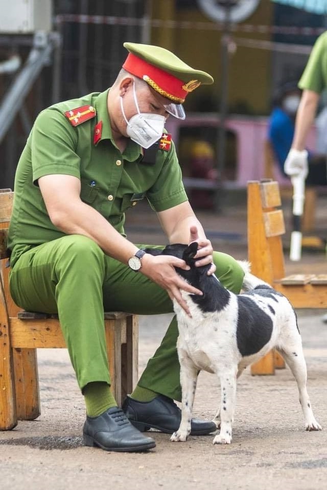 Dàn cún cưng “đồng hành” tại các chốt kiểm dịch, cùng chiến sĩ dầm mưa dãi nắng, chỉ hơi hám ăn 