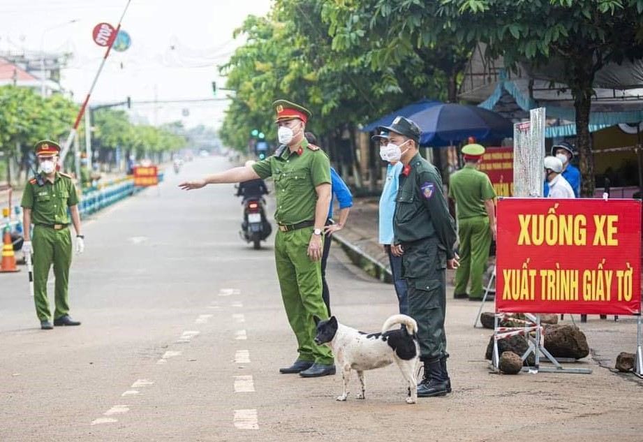 Dàn cún cưng “đồng hành” tại các chốt kiểm dịch, cùng chiến sĩ dầm mưa dãi nắng, chỉ hơi hám ăn 