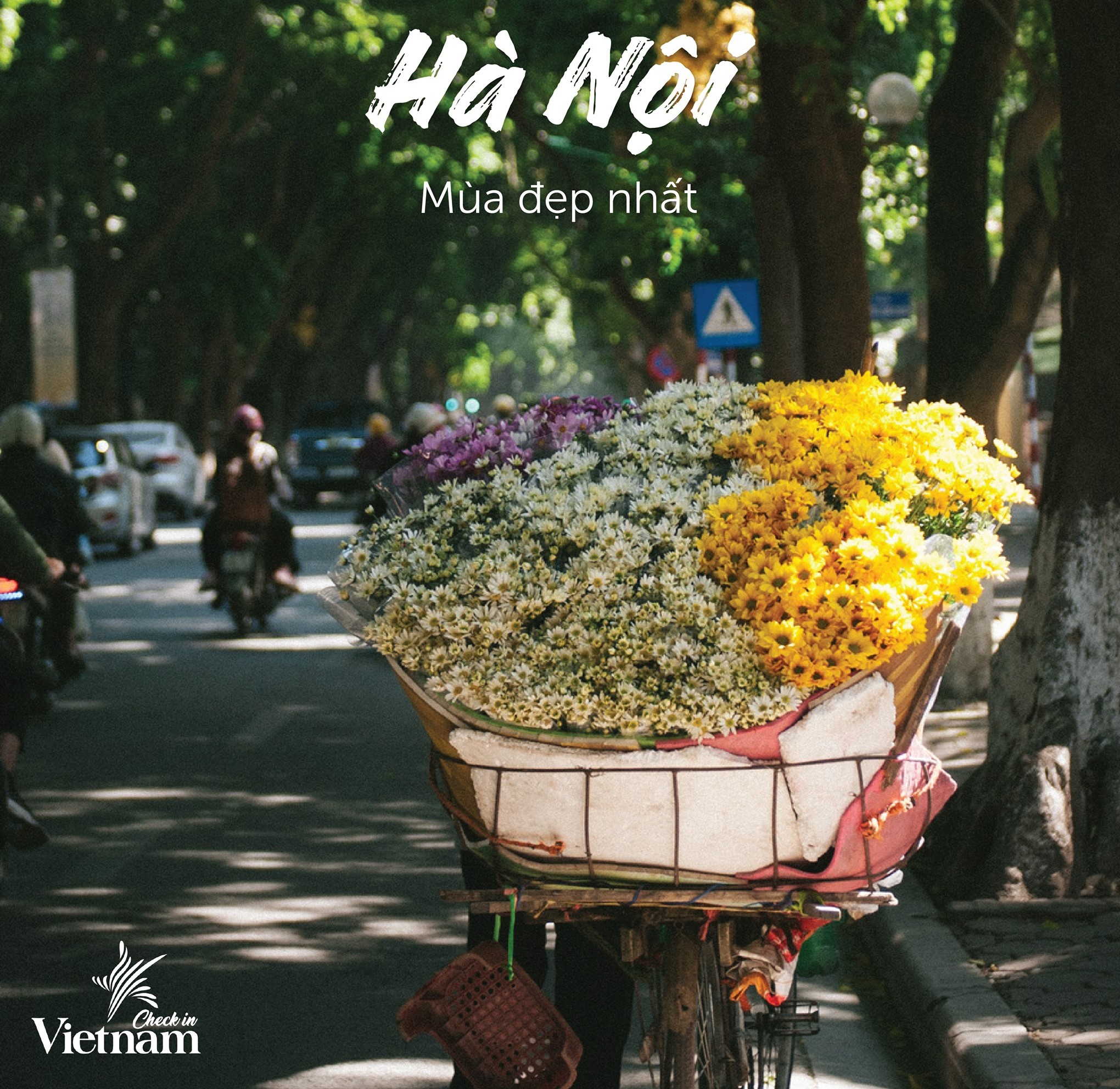 mùa thu sang ở các tỉnh thành của Việt Nam