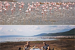 Sửng sốt trước "thiên đường hồng hạc" - công viên quốc gia hồ Nakuru ở châu Phi