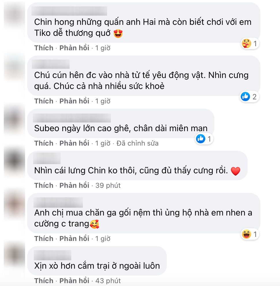 nhiều người khen 2 anh em đáng yêu