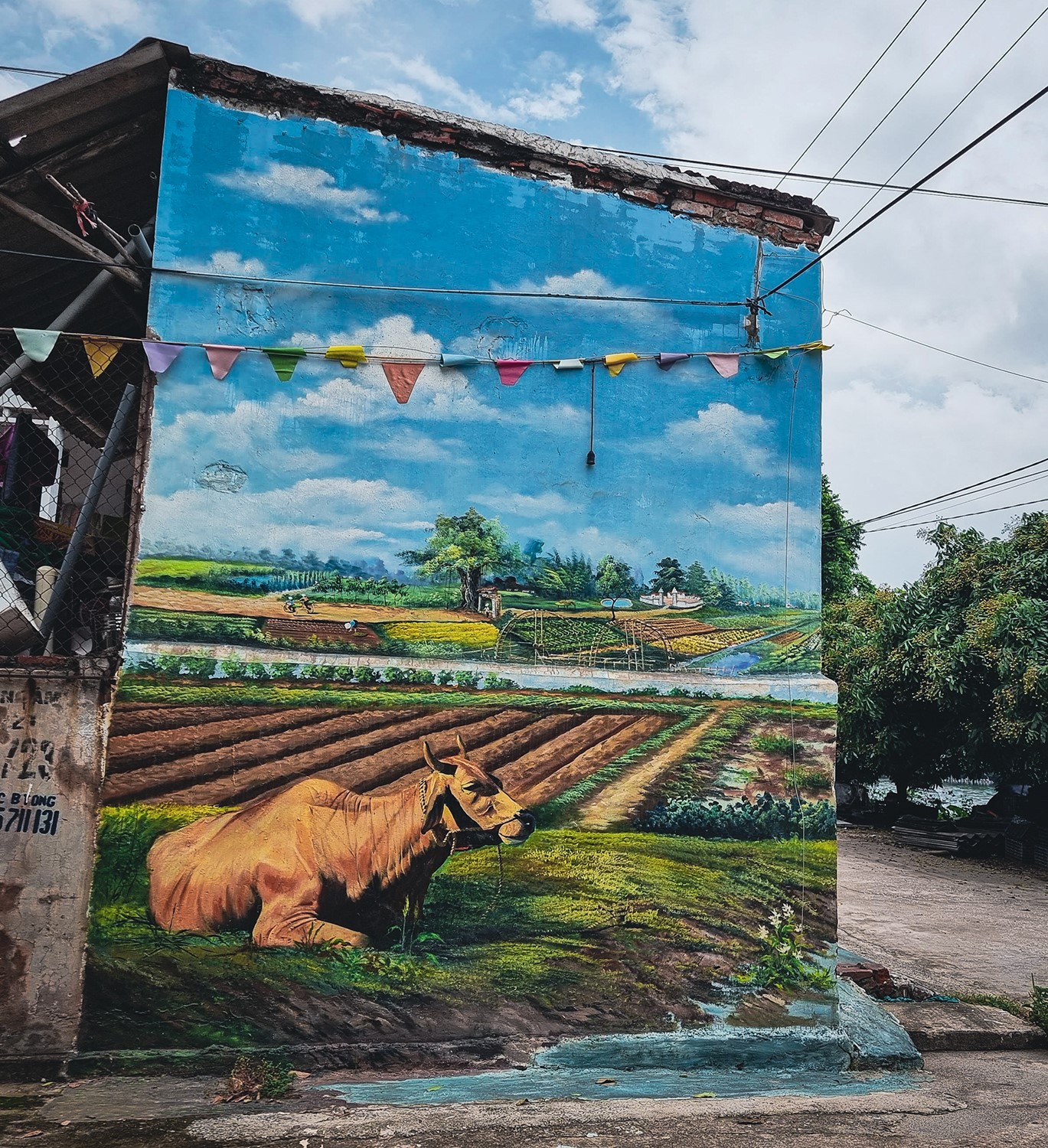 chàng trai trẻ ghé thăm hết những ngôi làng bích họa đặc sắc của Việt Nam