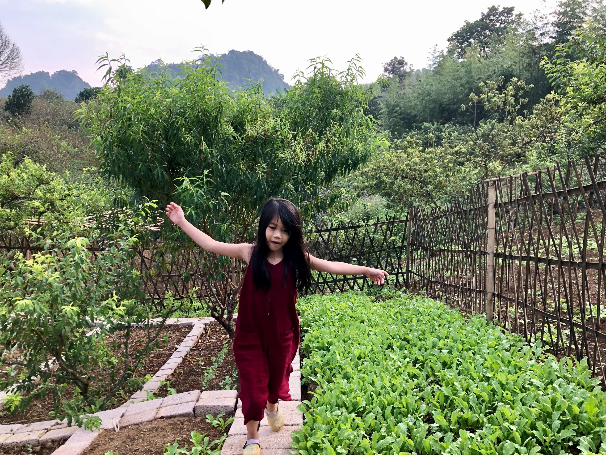 Mắc kẹt 3 tháng ở Mộc Châu vì dịch, gia đình Hà Nội quyết định xây nhà sống giữa vườn mận