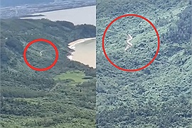 Soi con "rắn hổ mây" khổng lồ trườn quanh núi ở Việt Nam được đăng lên tiktok, sự thật đằng sau cực bất ngờ 