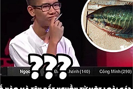 Thử tài địa lý: Đố bạn thành phố nào ở Việt Nam có tên gọi bắt nguồn từ một loài cá?