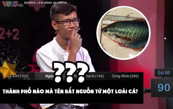 Thử tài địa lý: Đố bạn thành phố nào ở Việt Nam có tên gọi bắt nguồn từ một loài cá?