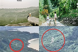 Hiện tượng lạ "Rắn khổng lồ" ở đèo Hải Vân thực chất là tọa độ check in giữa bạt ngàn rừng xanh được giới trẻ tìm đến rần rần