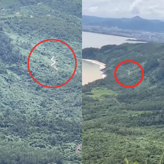 Hiện tượng lạ "Rắn khổng lồ" ở đèo Hải Vân thực chất là tọa độ check in giữa bạt ngàn rừng xanh được giới trẻ tìm đến rần rần