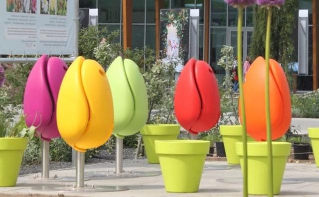 Bạn không nghe nhầm đâu, đây là những chiếc ghế hoa tulip có 1-0-2 "mọc lên" khắp đường phố Hà Lan 