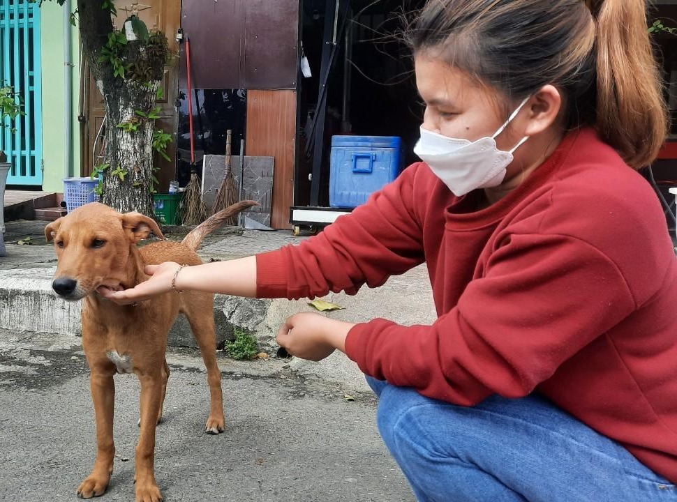 Thành phố đầu tiên của Việt Nam nói không với thịt chó mèo là Hội An: hội yêu pet cưng ủng hộ rần rần!