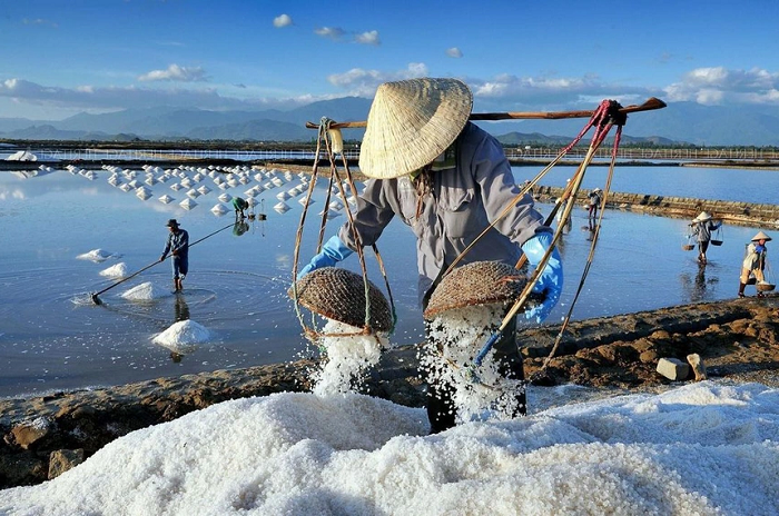 Săn 'tuyết rơi giữa mùa hè' trên những cánh đồng muối đẹp nức lòng ở Ninh Thuận