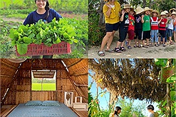 Bỏ phố về quê, cô gái Phú Yên tay trắng mở homestay kết hợp du lịch nông nghiệp