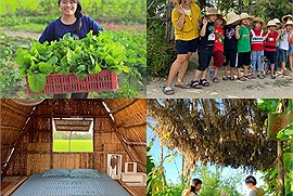 Bỏ phố về quê, cô gái Phú Yên tay trắng mở homestay kết hợp du lịch nông nghiệp