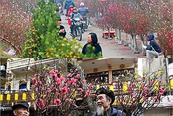 Dạo quanh 6 khu chợ hoa nổi tiếng nhất Hà Nội trong dịp tết nguyên đán Nhâm Dần 2022