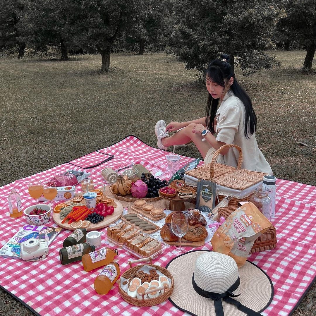 phụ kiện đi kèm concpet picnic