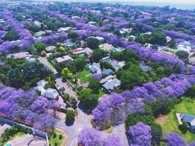 Pretoria còn được biết đến là trung tâm văn hóa lớn nhất của Nam Phi
