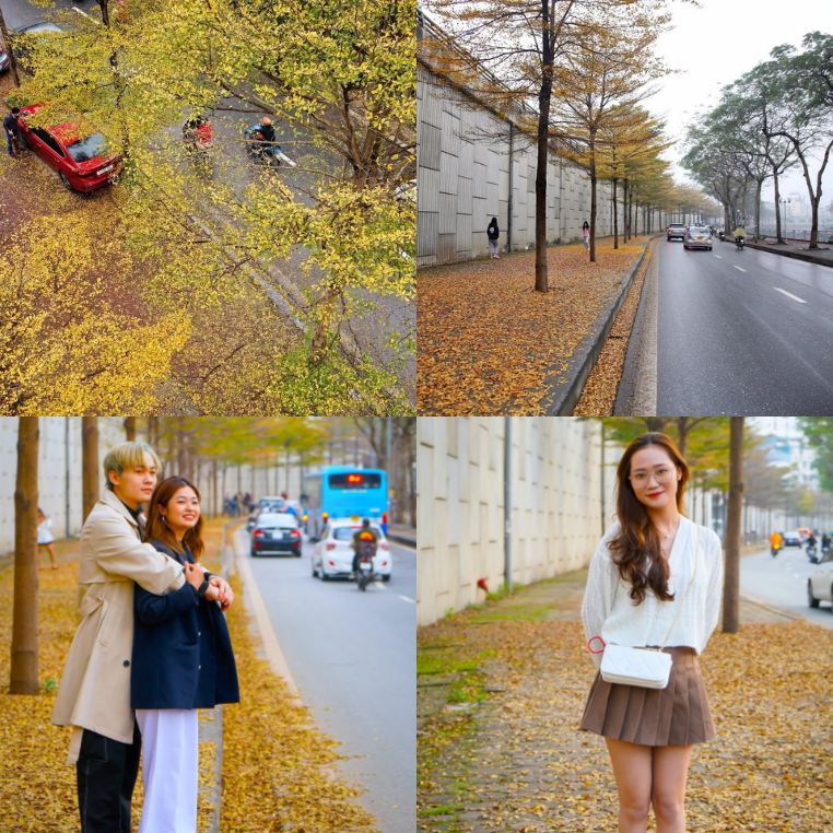Giới trẻ thích thú đến check-in cung đường ngập tràn sắc vàng của cây bàng lá nhỏ, đẹp lung linh như ở xứ Hàn