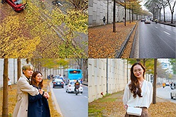Giới trẻ thích thú đến check-in cung đường ngập tràn sắc vàng của cây bàng lá nhỏ, đẹp lung linh như ở xứ Hàn