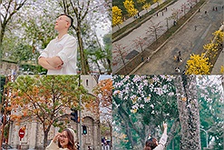 Tháng 3 này, Hà Nội với những mùa hoa, mùa lá đẹp như một khúc tình ca khiến người ta đắm say, xao xuyến 