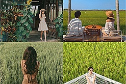 Đi cafe "chill" Hội An: View giữa đồng lúa mộng mơ xanh rì, tha hồ chụp ảnh check-in trong khung hình đẹp như phim