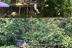 Bất chấp tính mạng khách du lịch, khu vui chơi mạo hiểm ở Quảng Bình vẫn “xẻ” rừng mở “chui" gây bất bình