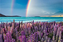 30 địa điểm tuyệt vời nhất phải đến khi vi vu New Zealand